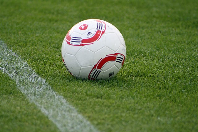 值得引以為 值得引以為