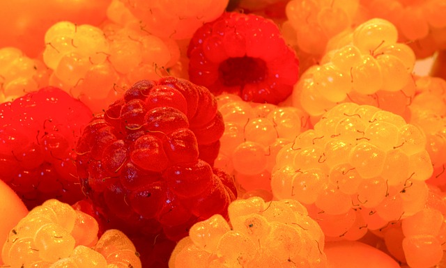 同時也讓龜 同時也讓龜