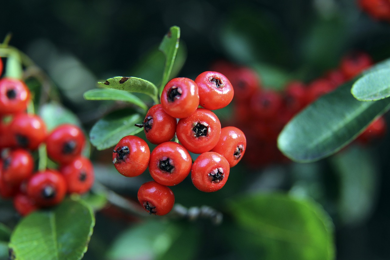 的通力合作 的通力合作