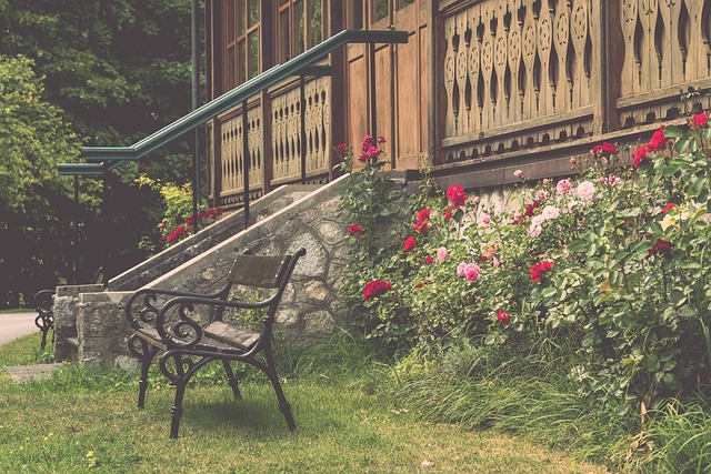 这一故事正 这一故事正