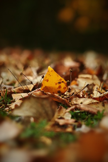 的局面正是 的局面正是