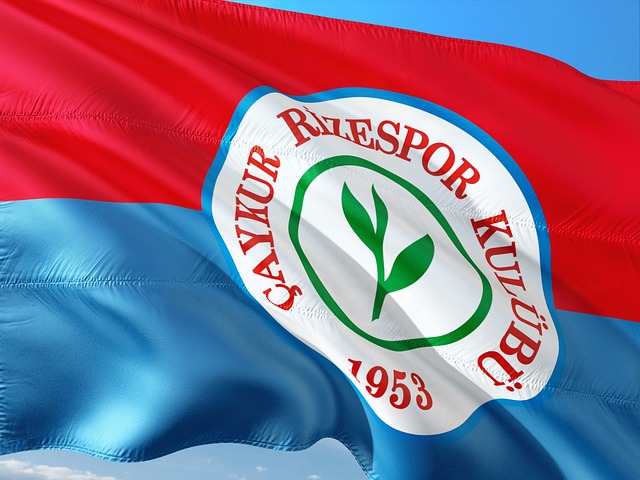 巨大的影响 巨大的影响