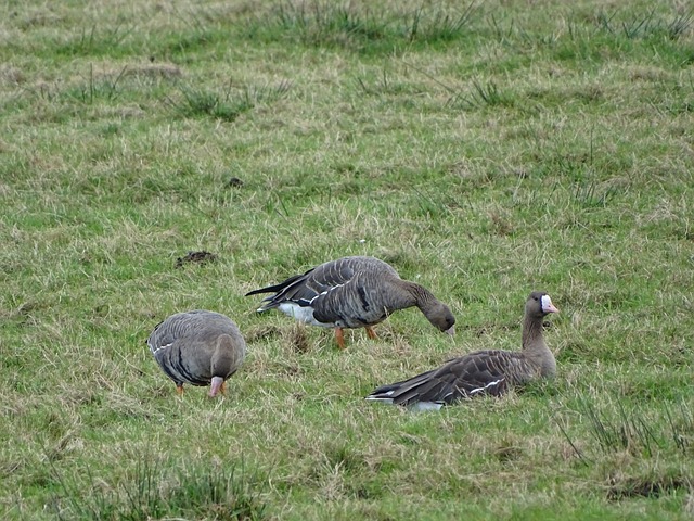 端的专注 端的专注