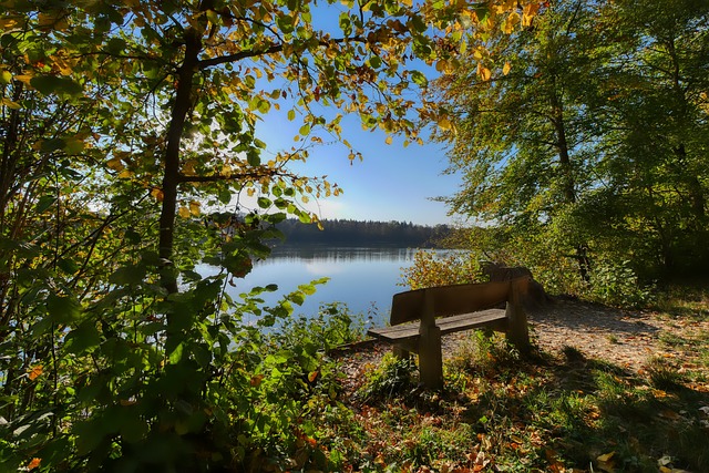 也为他赢得 也为他赢得