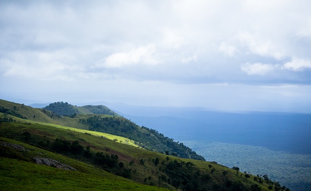 不仅为他个 不仅为他个