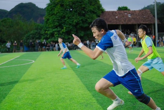 盟的格局 盟的格局