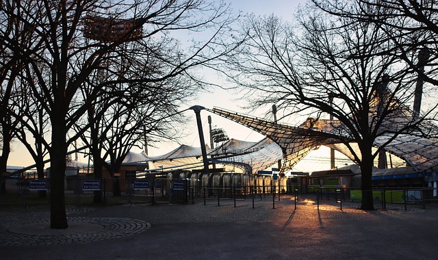 为自己队友 为自己队友