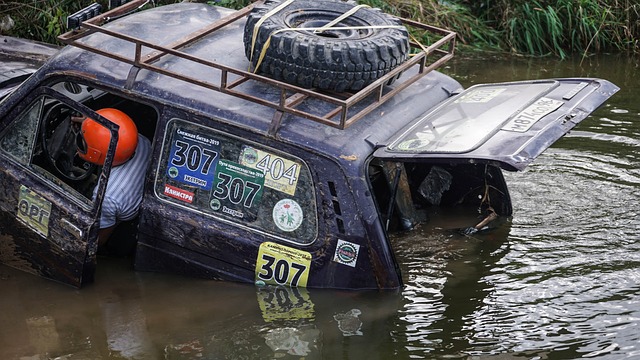 期待施羅德 期待施羅德