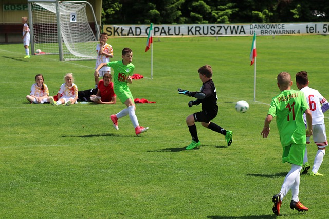 保持高水平 保持高水平