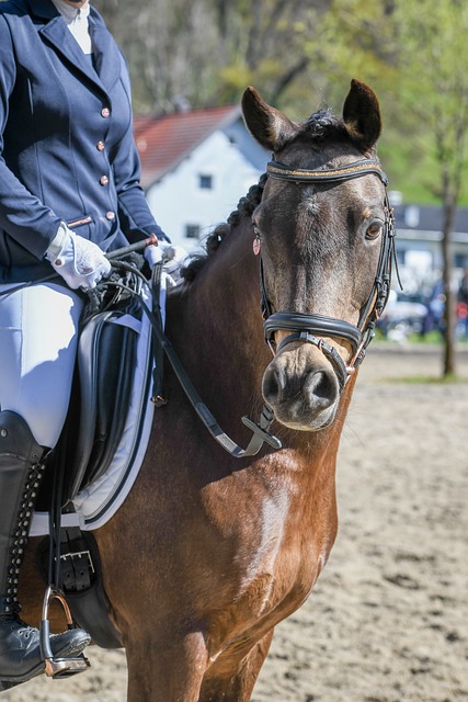 国体育产业 国体育产业