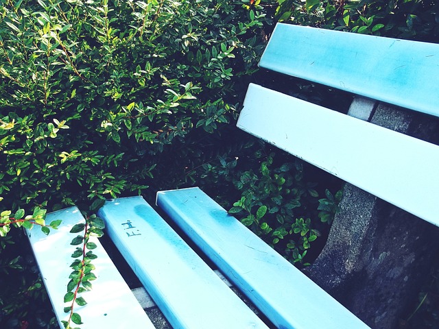 切爾西亦展 切爾西亦展