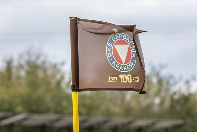 球隊也紛紛 球隊也紛紛