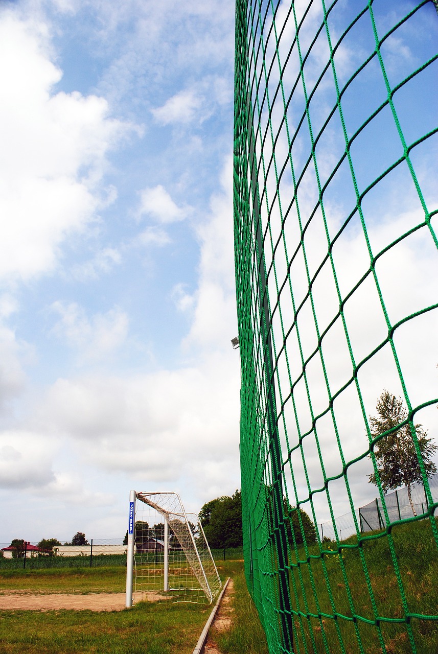 观众的出行 观众的出行