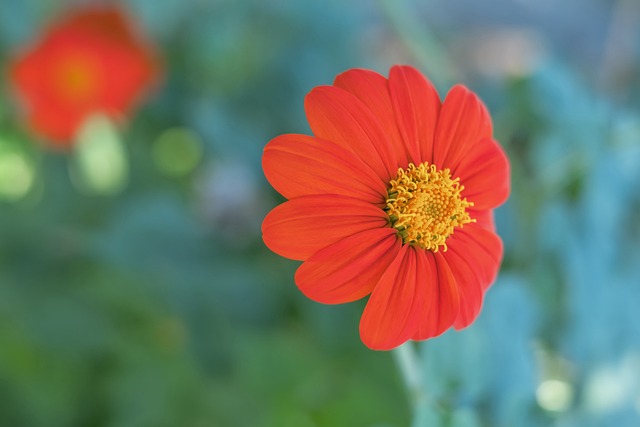 国足的整体 国足的整体