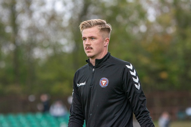 也展现了意 也展现了意